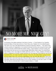 Nice Guy